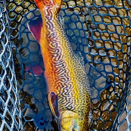 Utah Lake Vacation 4