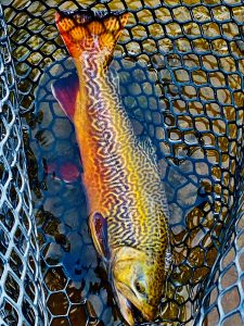 May Fishing at Six Lakes Resort Utah (3)