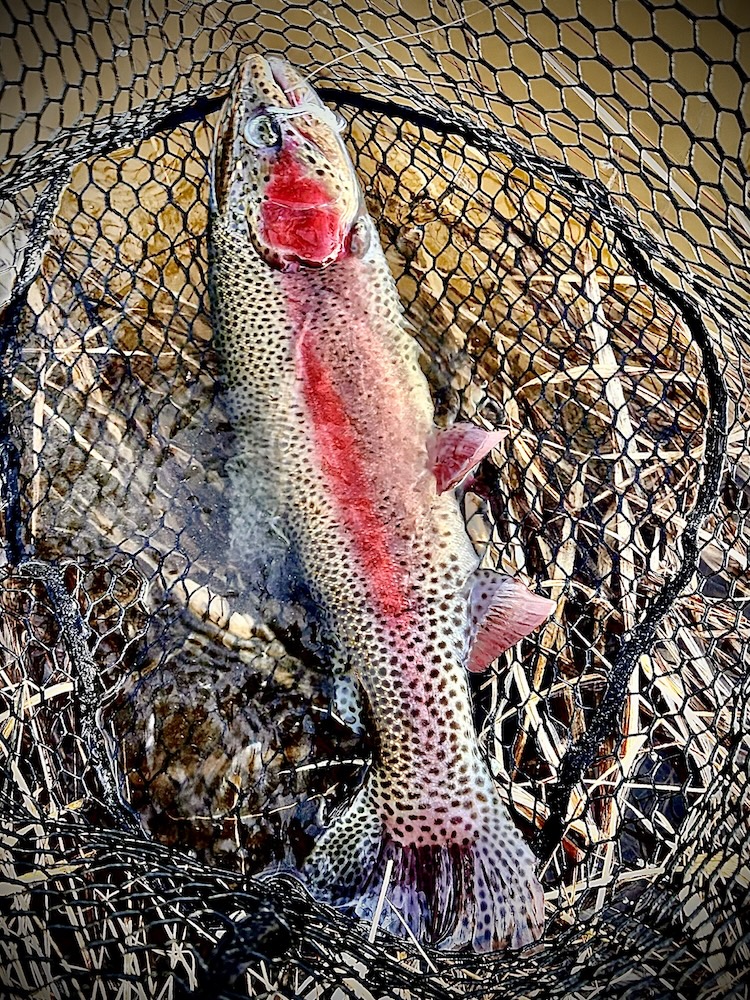 Best Fall Fishing in Utah (3)