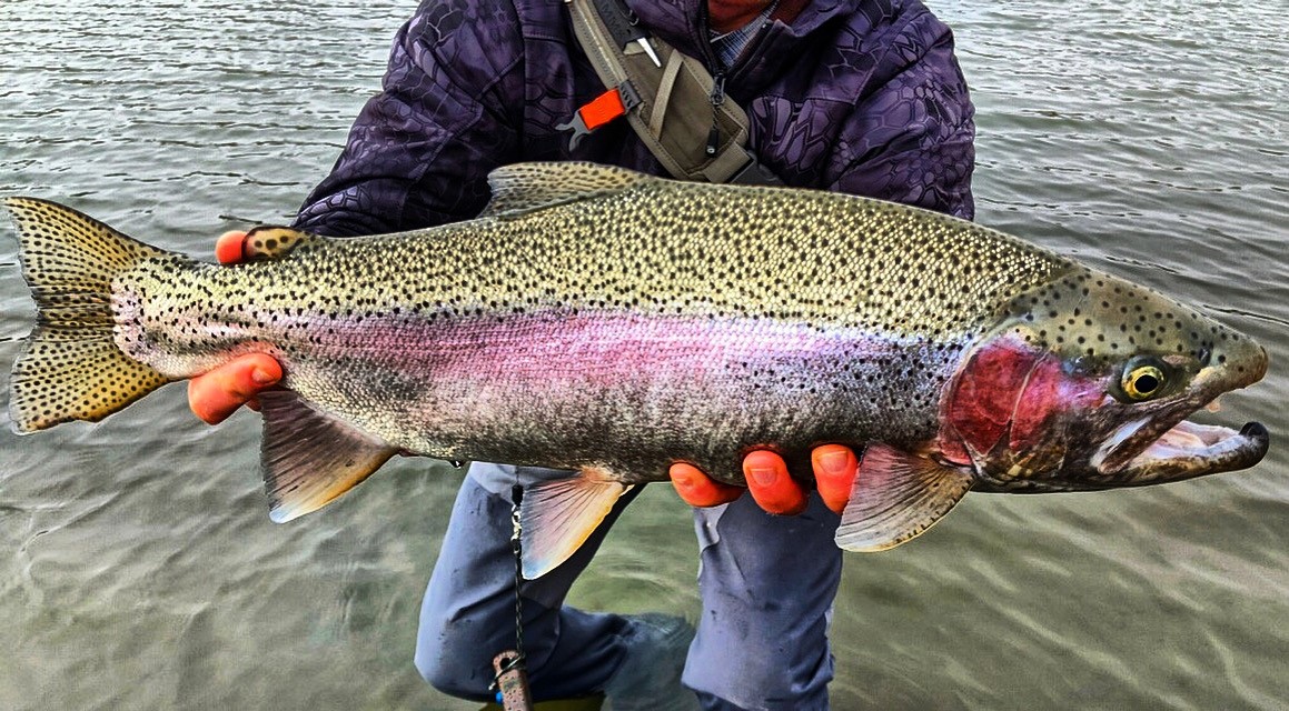 Utah’s Best Fall Fishing