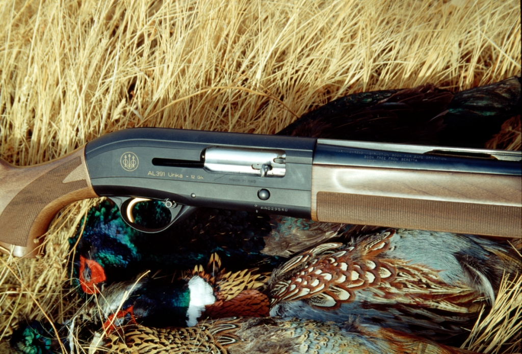 Shotgun resting on a pile of harvested ring-necked pheasants in tall golden grass