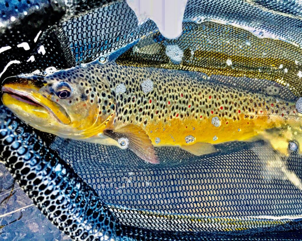 Spring Fishing Tips