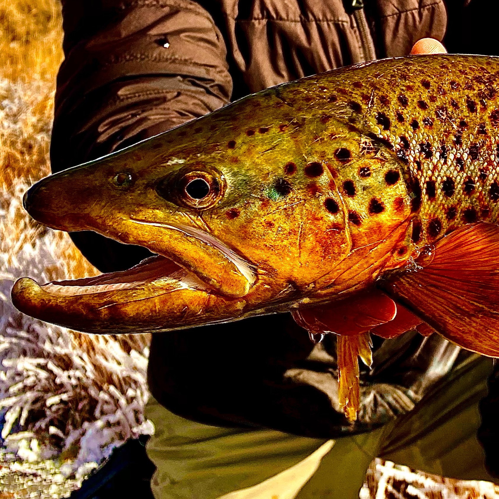 Spring Fishing in Utah