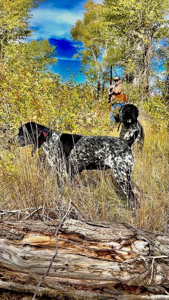 Utah Fall Fishing and Pheasant Hunting