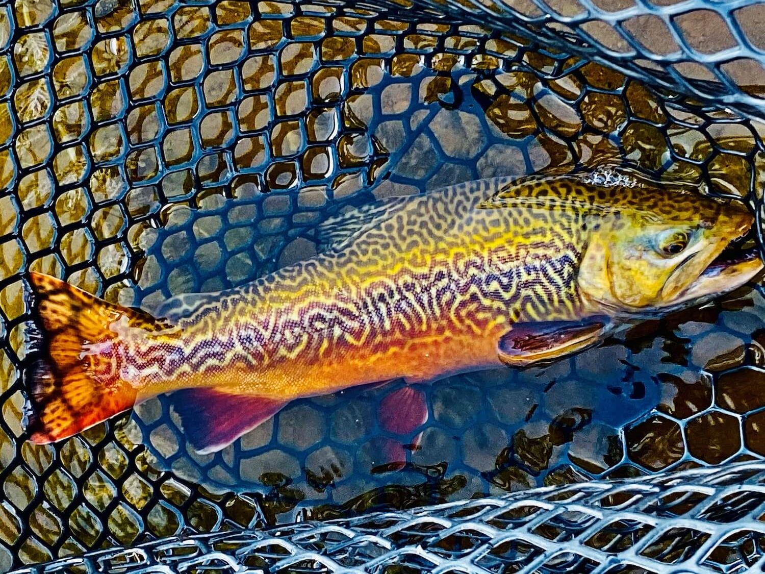 Utah Fall Lake Fishing Tips