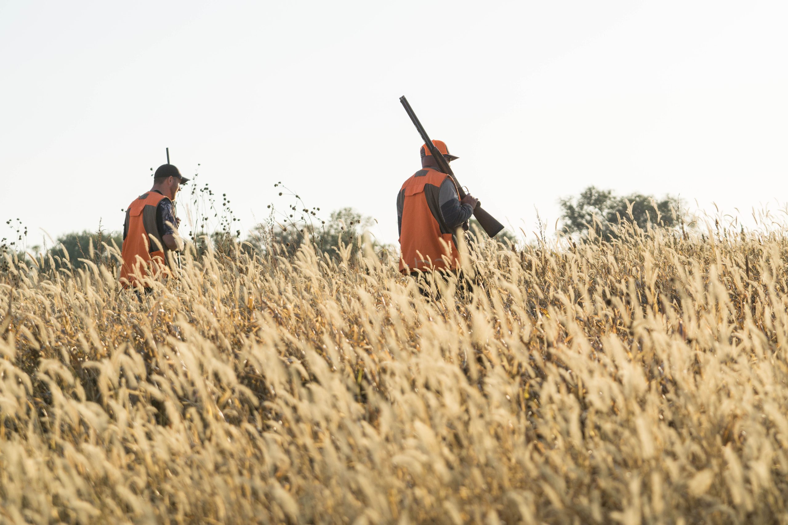 Utah Fall Fly Fishing and Bird Hunting Vacation