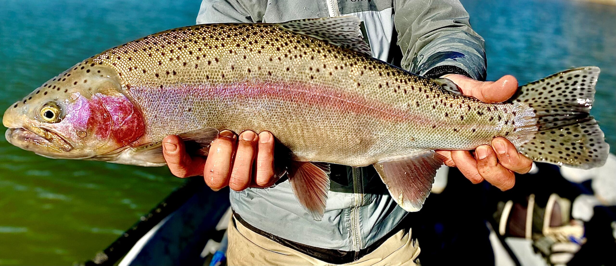 Best Flies for Spring Lake Fishing in Utah