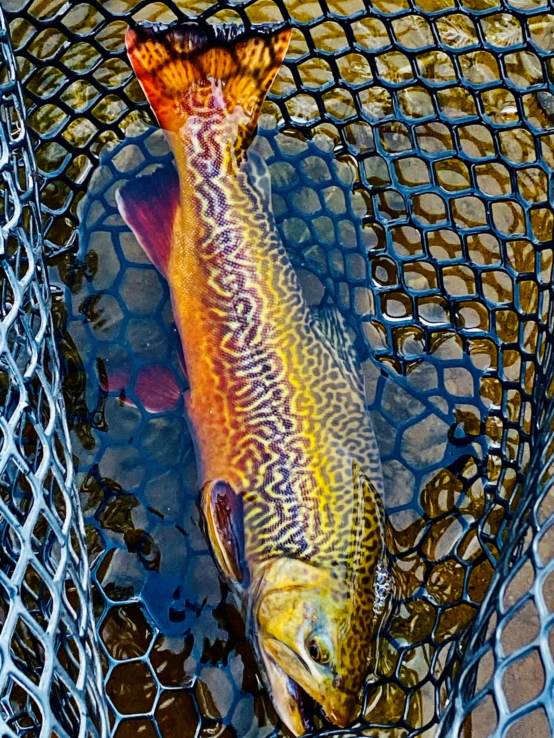 November Lake Fishing in Utah
