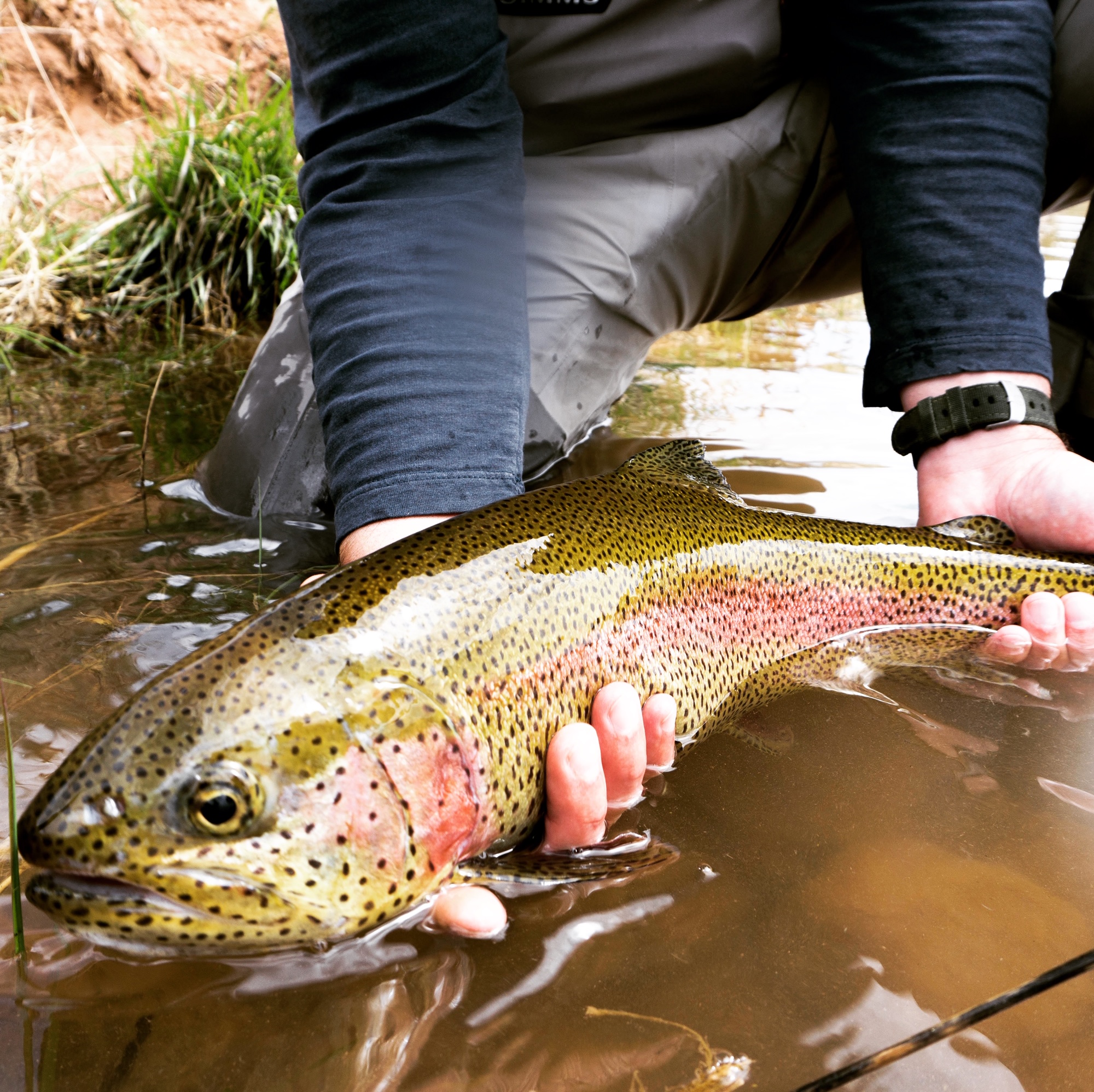 Utah Spring Fishing