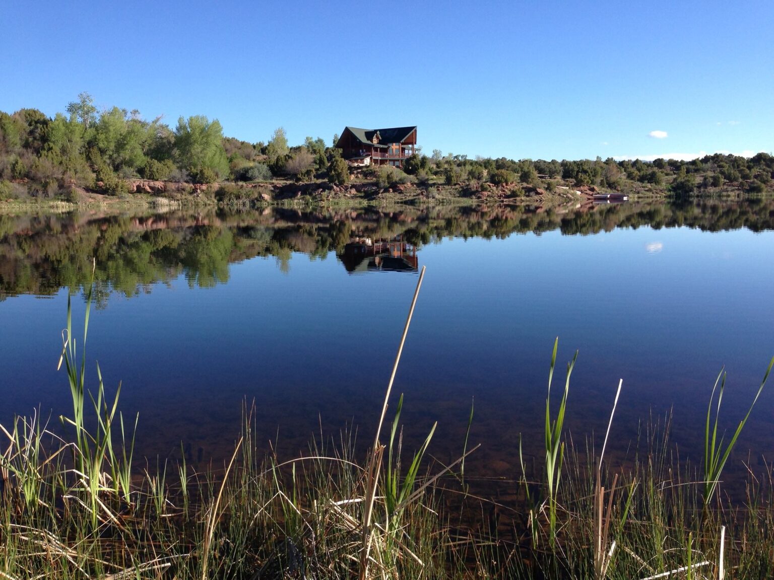 Calm lake framed by reeds on a clear morning