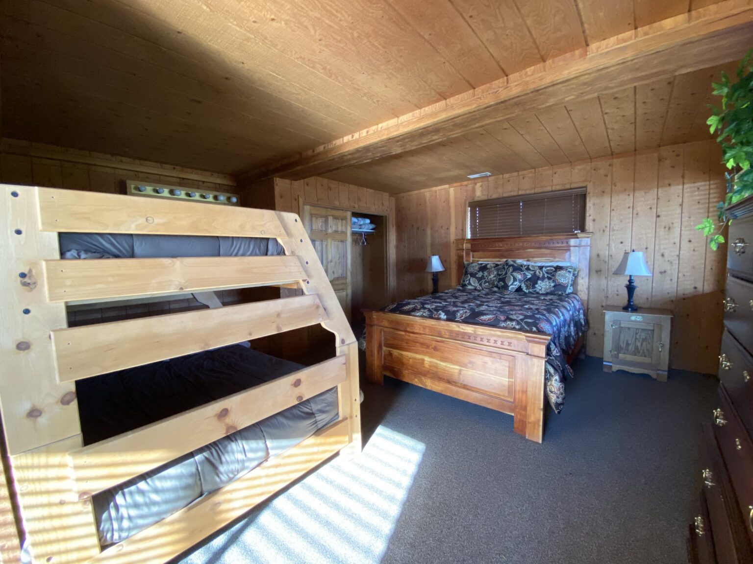 Eagle Cabin: Downstairs Bedroom