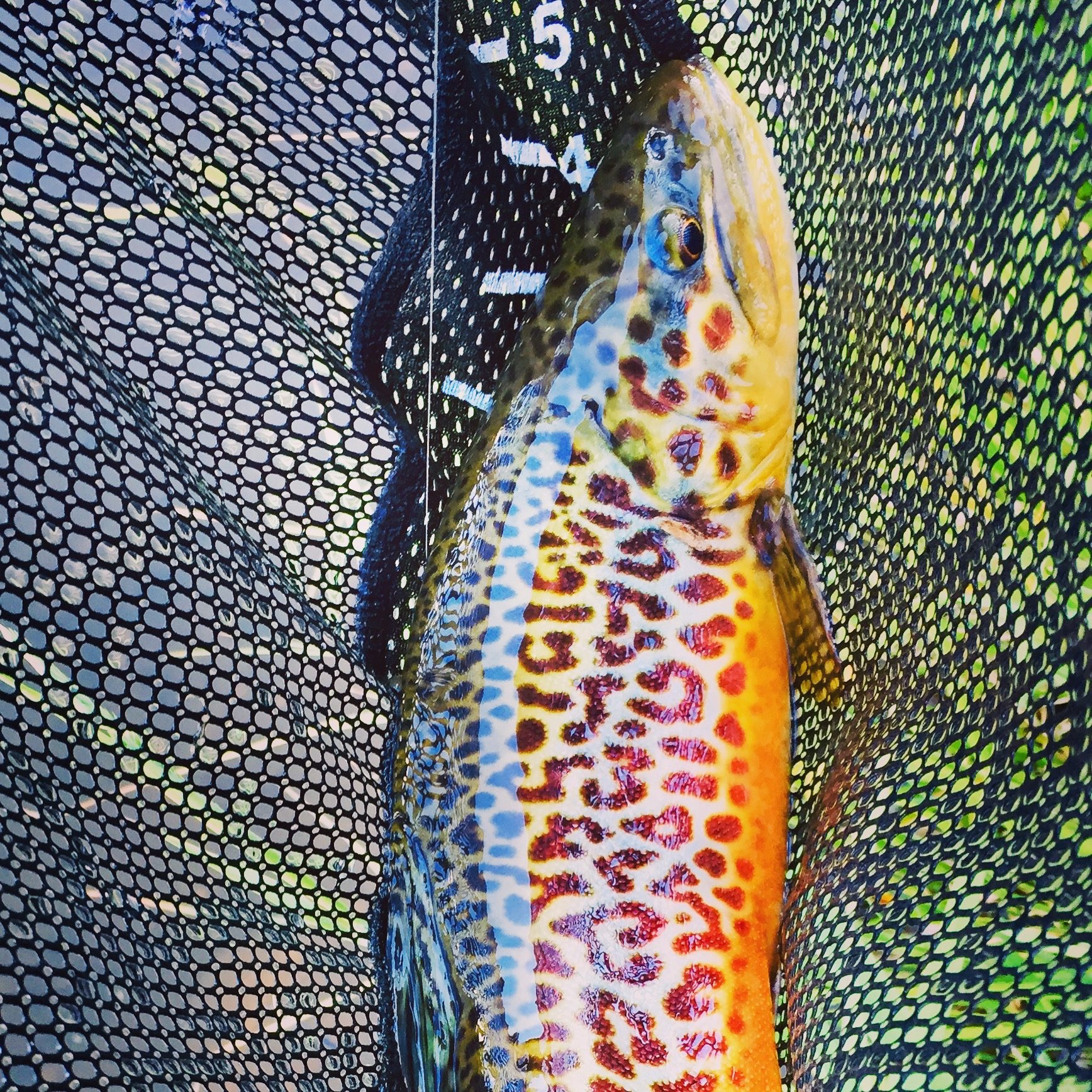 Utah Fishing Resort